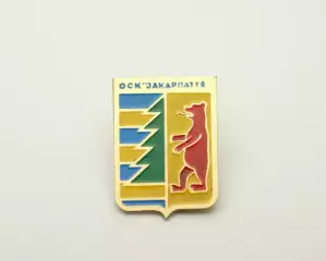 ФК Закарпатье Ужгород Закарпатская область