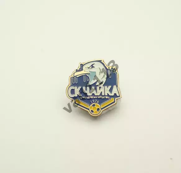 ФК Чайка Петропавловская Борщаговка Киевская область Украина