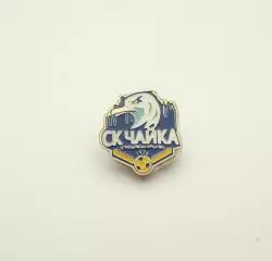 ФК Чайка Петропавловская Борщаговка Киевская область Украина