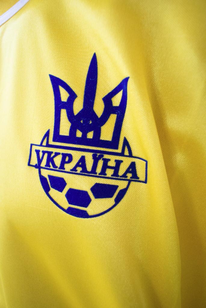 Тренировочная футболка сборной Украины 2006 – 2007 XL Тимощук 1