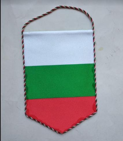 Официальный вымпел федерации футбола Болгарии (маленький) 1