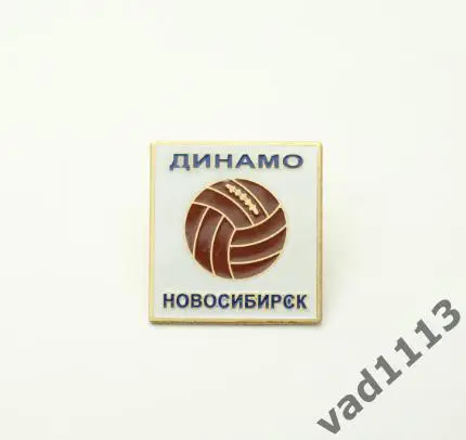 ФК Динамо Новосибирск Новосибирской области