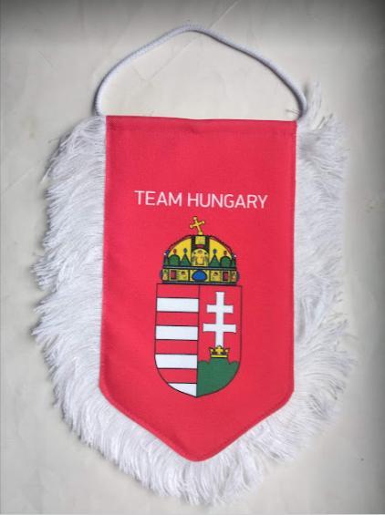 Официальный вымпел федерации хоккея Венгрии.