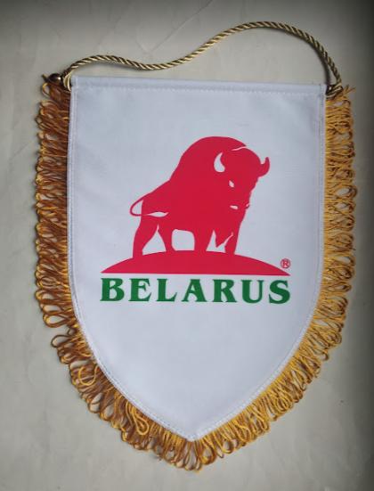 Официальный вымпел федерации хоккея Беларусь. 1