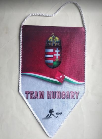 Официальный вымпел федерации хоккея Венгрии. 1