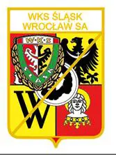 ФК Шлёнск Вроцлав Польша (серия герб+лого)