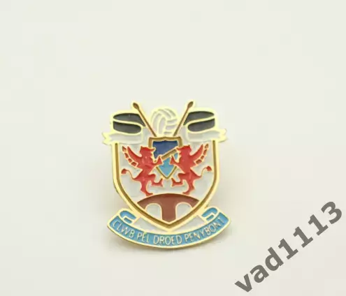 ФК Пенибонт Уэльс - Penybont F.C. Wales