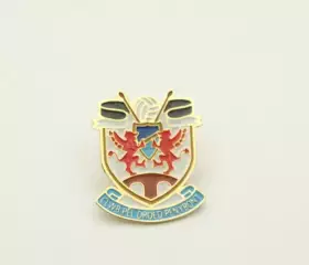 ФК Пенибонт Уэльс - Penybont F.C. Wales