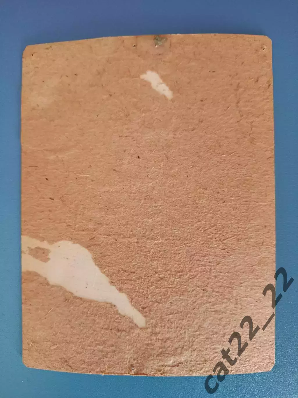 Оригинальная фотография! Хоккей. Чемпионат мира. Канада 1974 1