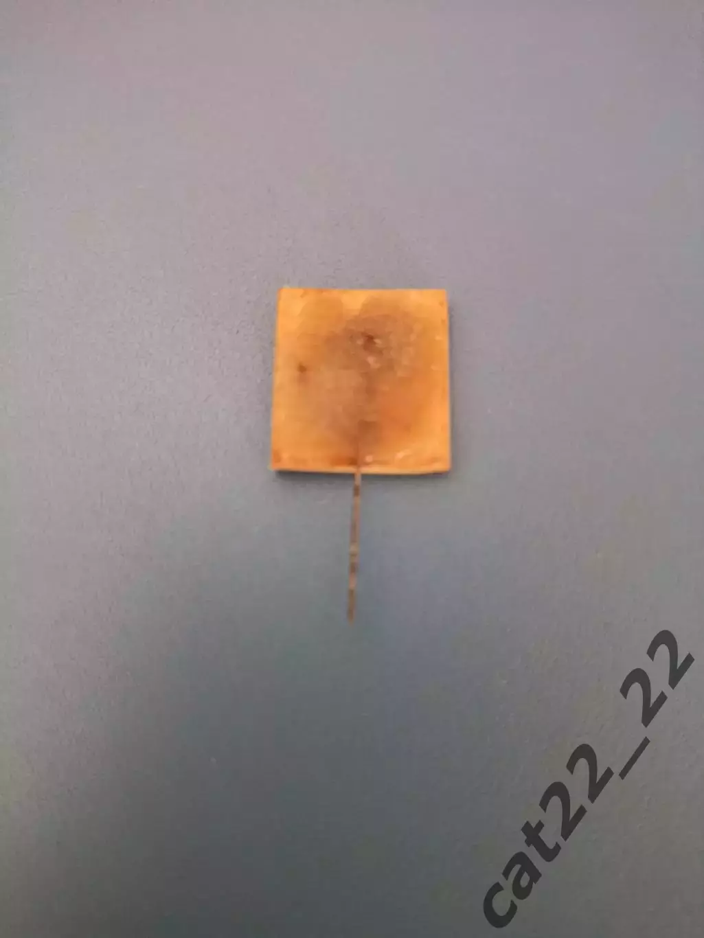 Знак/Значок Карпаты Львов СССР/Украина. Редкий вид. Дерево. 1960 - е года 1