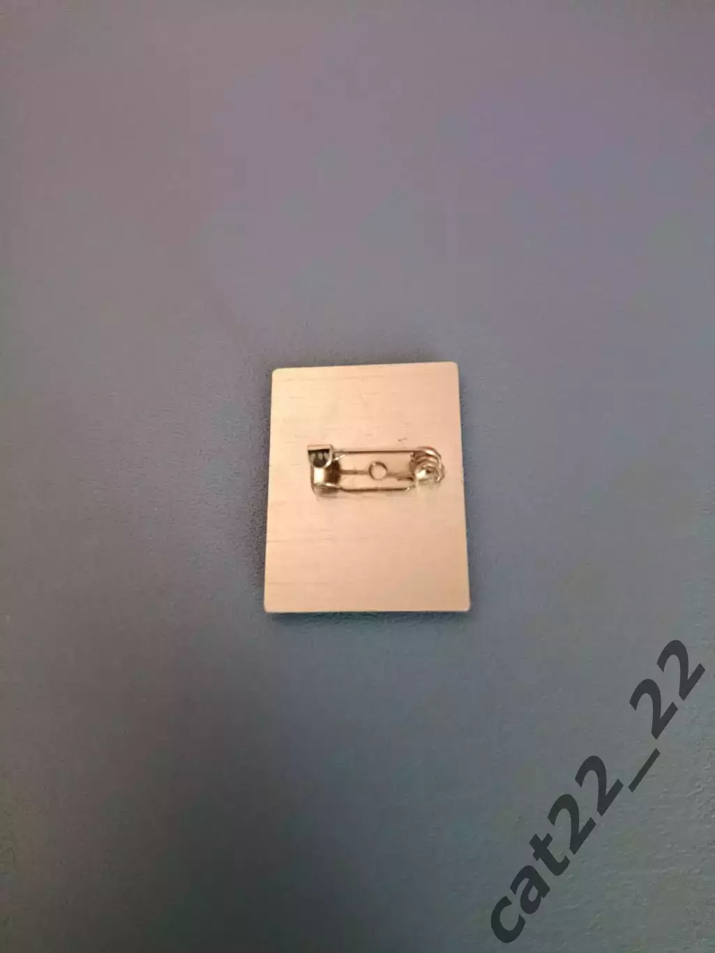 Знак/Значок Александр Заваров Динамо Киев СССР/Украина/Ювентус Турин Италия 1