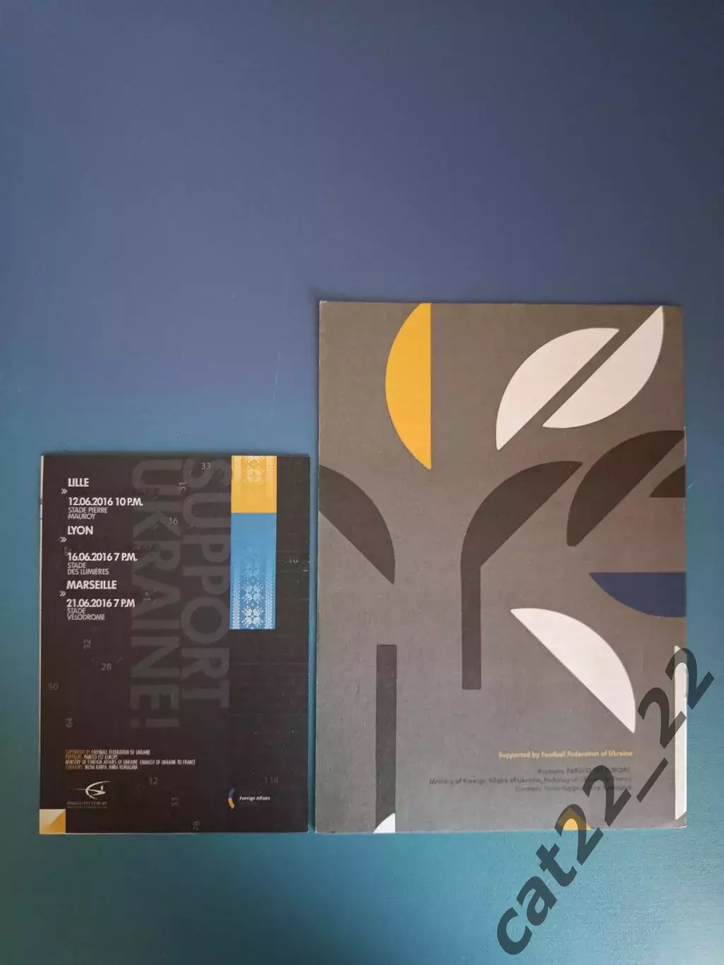 Чемпионат Европы. ЕВРО-2016. VIP! Украина-Германия,Северная Ирландия,Польша 2016 1