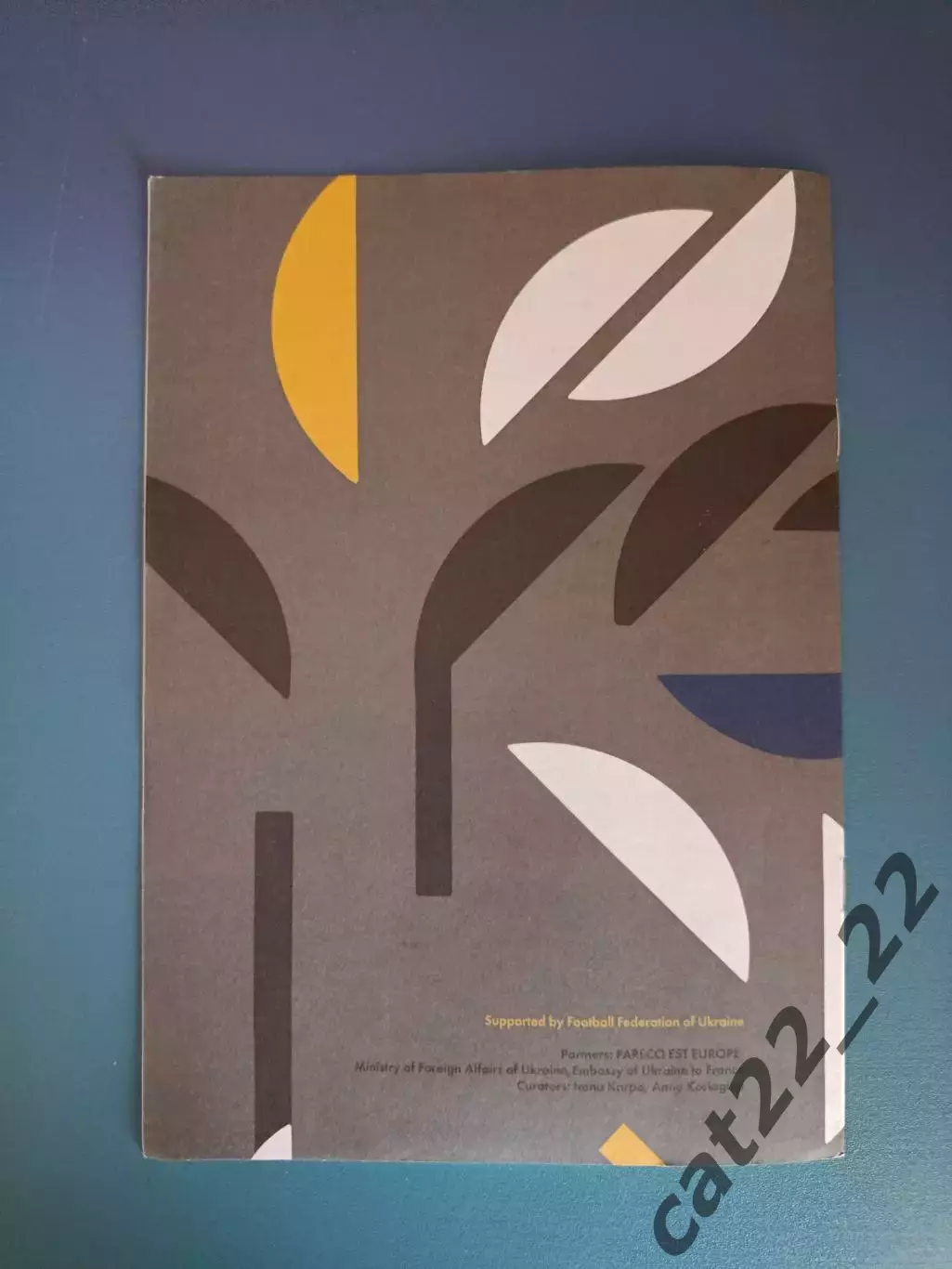 Чемпионат Европы. ЕВРО-2016. VIP! Украина-Германия,Северная Ирландия,Польша 2016 3