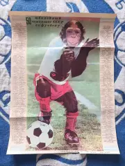 Буклет: Юбилейный 50 - й чемпионат СССР по футболу. Москва СССР/Россия 1987