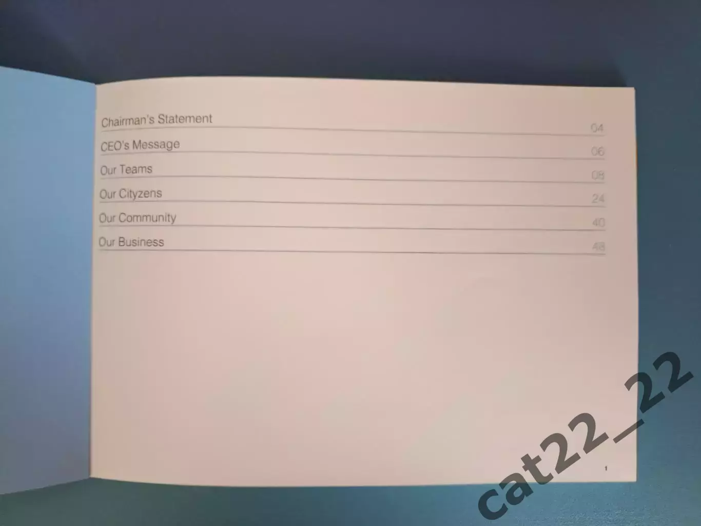 Официальный ежегодник Манчестер Сити Англия 2018/2019 1