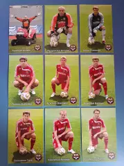 Набор открыток/открытка. 9 штук. Металлург Запорожье Украина 2007/2008