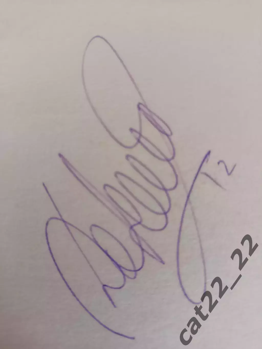 Автограф! Открытка. Денис Онищенко Украина/Хапоэль Тель - Авив Израиль 1