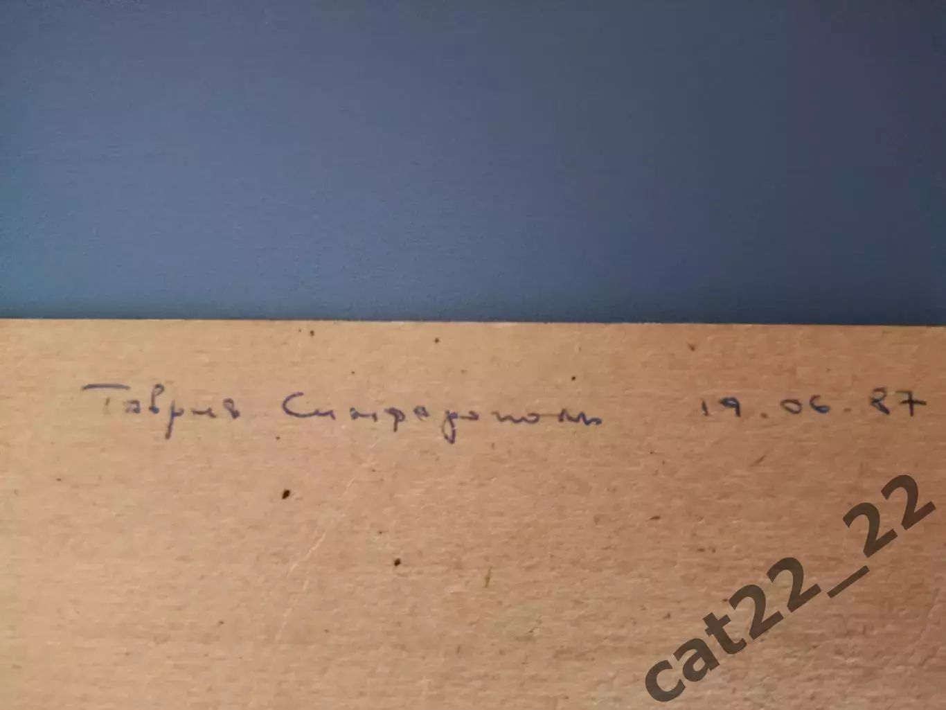 Разовый пропуск! Спартак Житомир - Таврия Симферополь Крым 19.06.1987 1