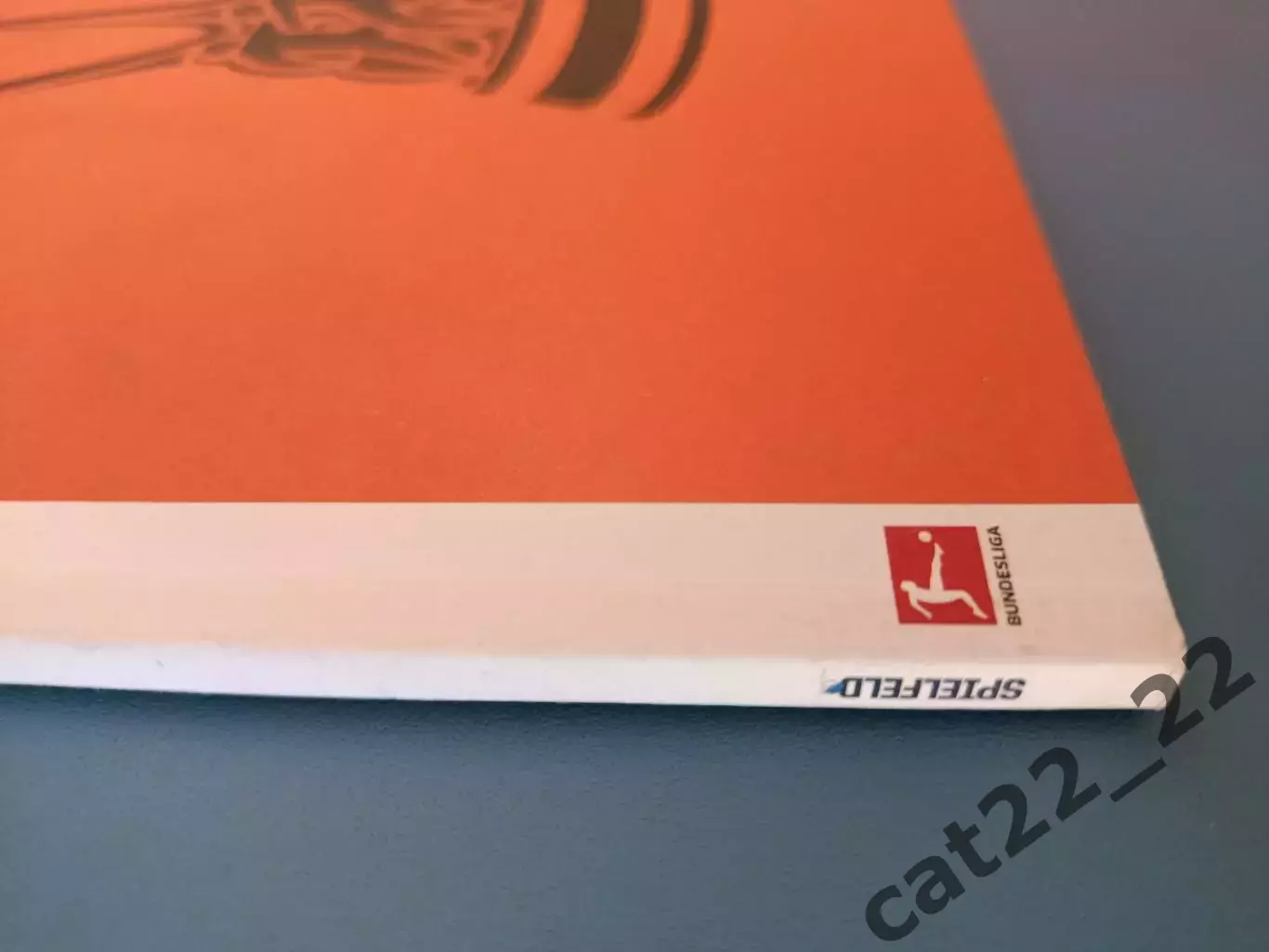 Читайте описание! Хоффенхайм Германия - Динамо Киев Украина 2024/2025 1