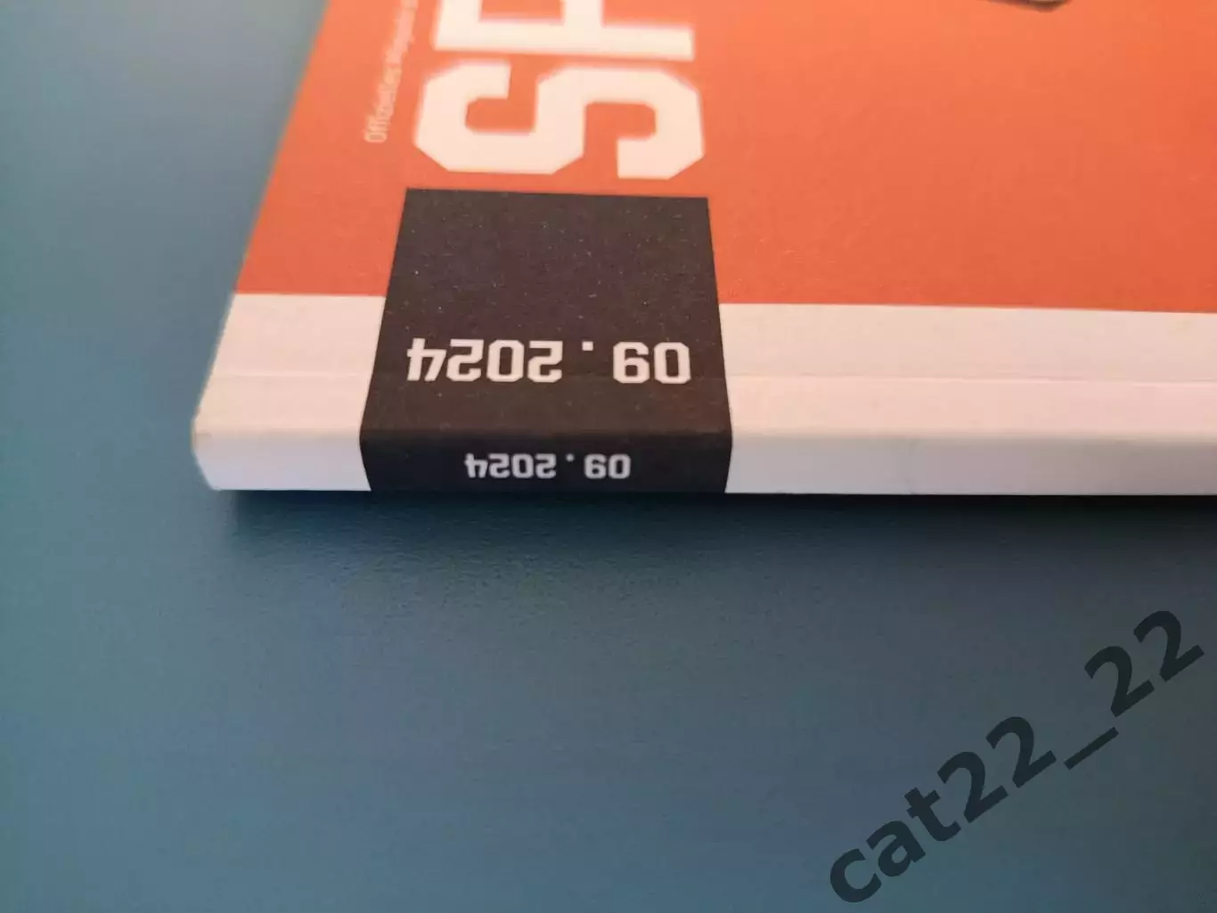 Читайте описание! Хоффенхайм Германия - Динамо Киев Украина 2024/2025 2