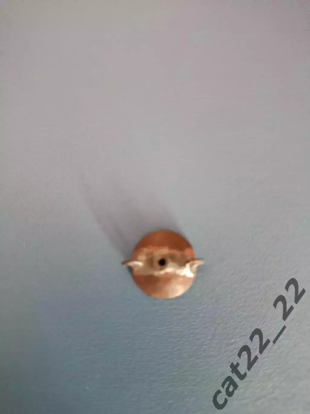 Читайте описание! Динамо Киев СССР/Украина - ЦДКА/ЦСКА Москва СССР/Россия 1941 5