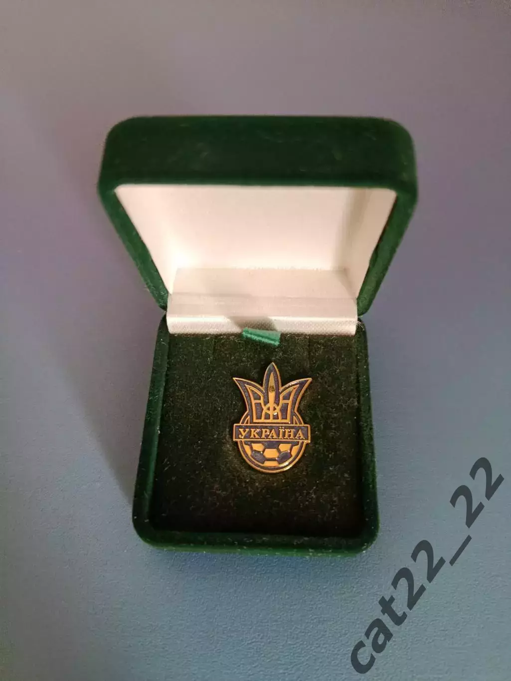 Индивидуальный знак/значок. Член исполкома ФФУ. Украина 2000 - е года