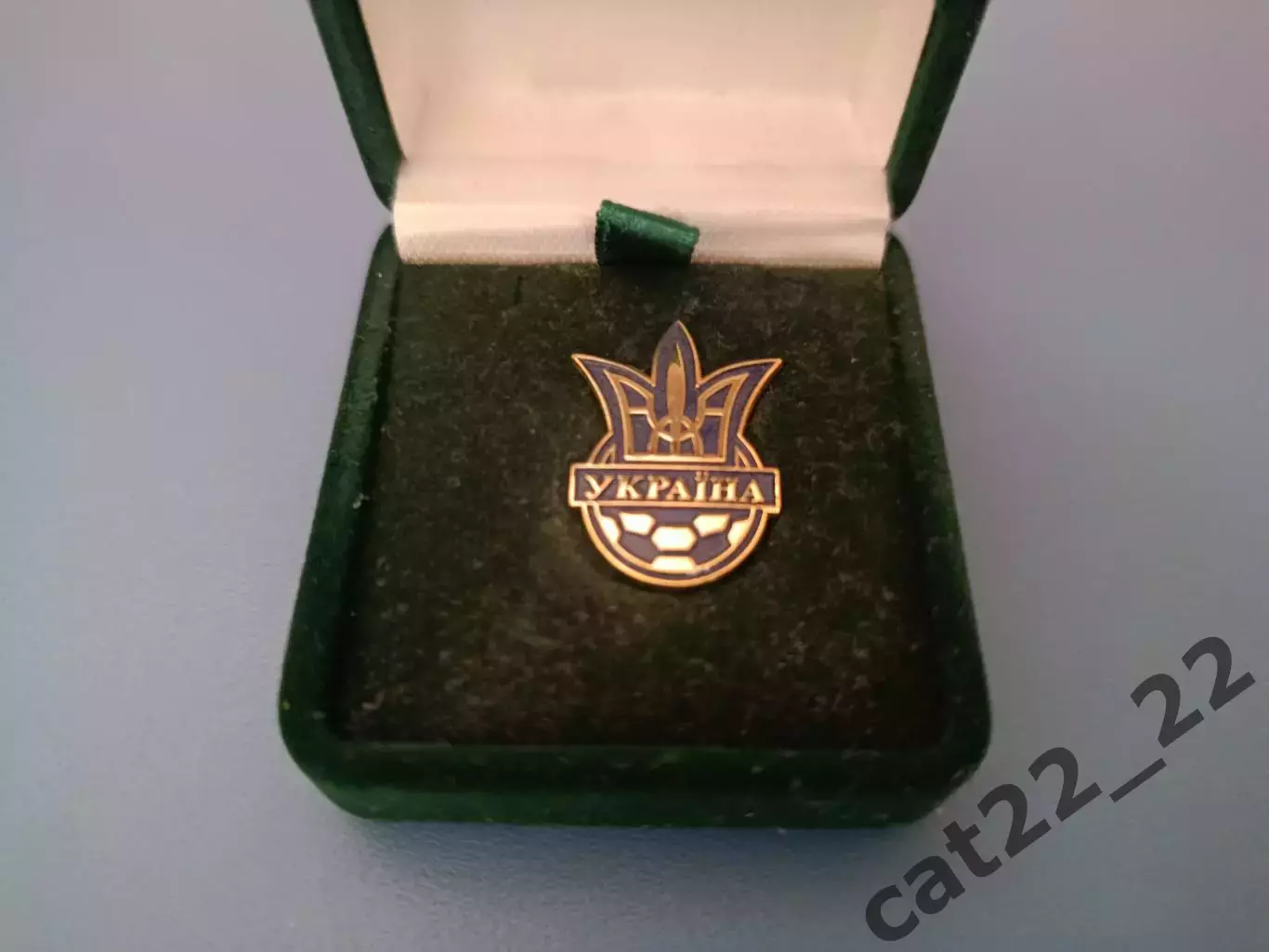 Индивидуальный знак/значок. Член исполкома ФФУ. Украина 2000 - е года 1