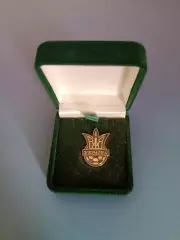 Индивидуальный знак/значок. Член исполкома ФФУ. Украина 2000 - е года