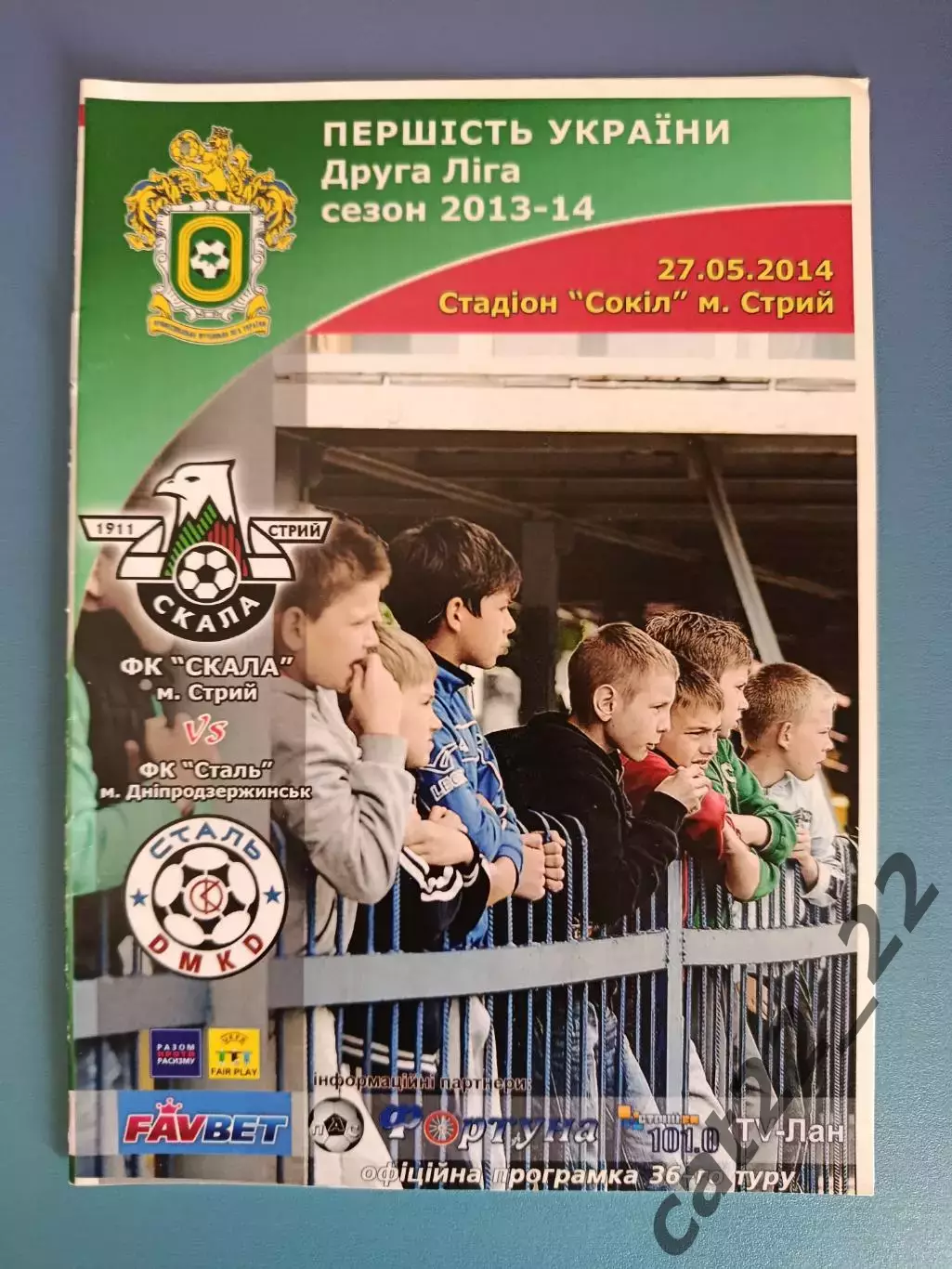 Скала Стрый - Сталь Днепродзержинск 2013/2014