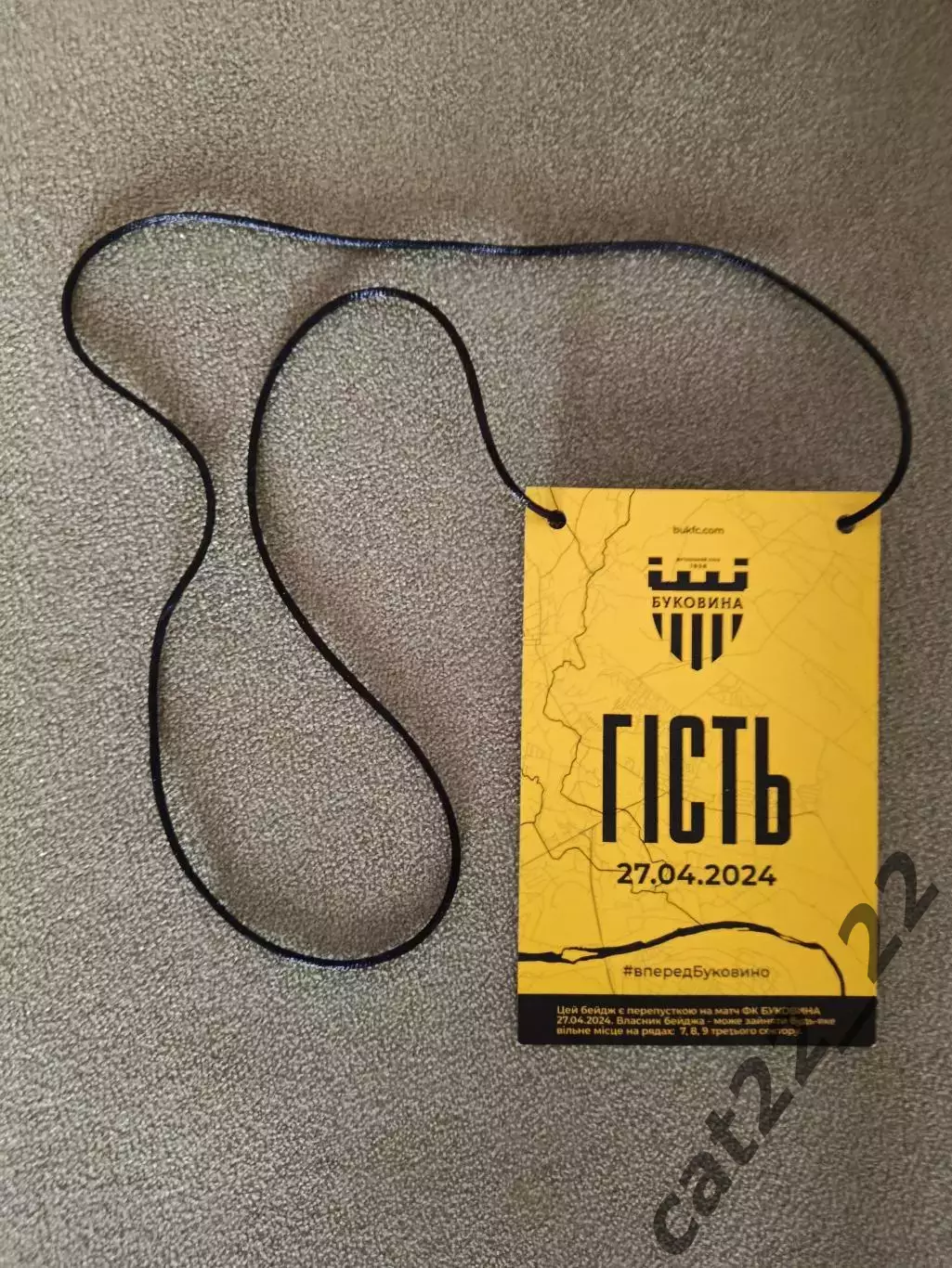 Буковина Черновцы - Диназ Вышгород 2023/2024