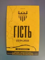 Буковина Черновцы - Динамо Киев 2024/2025