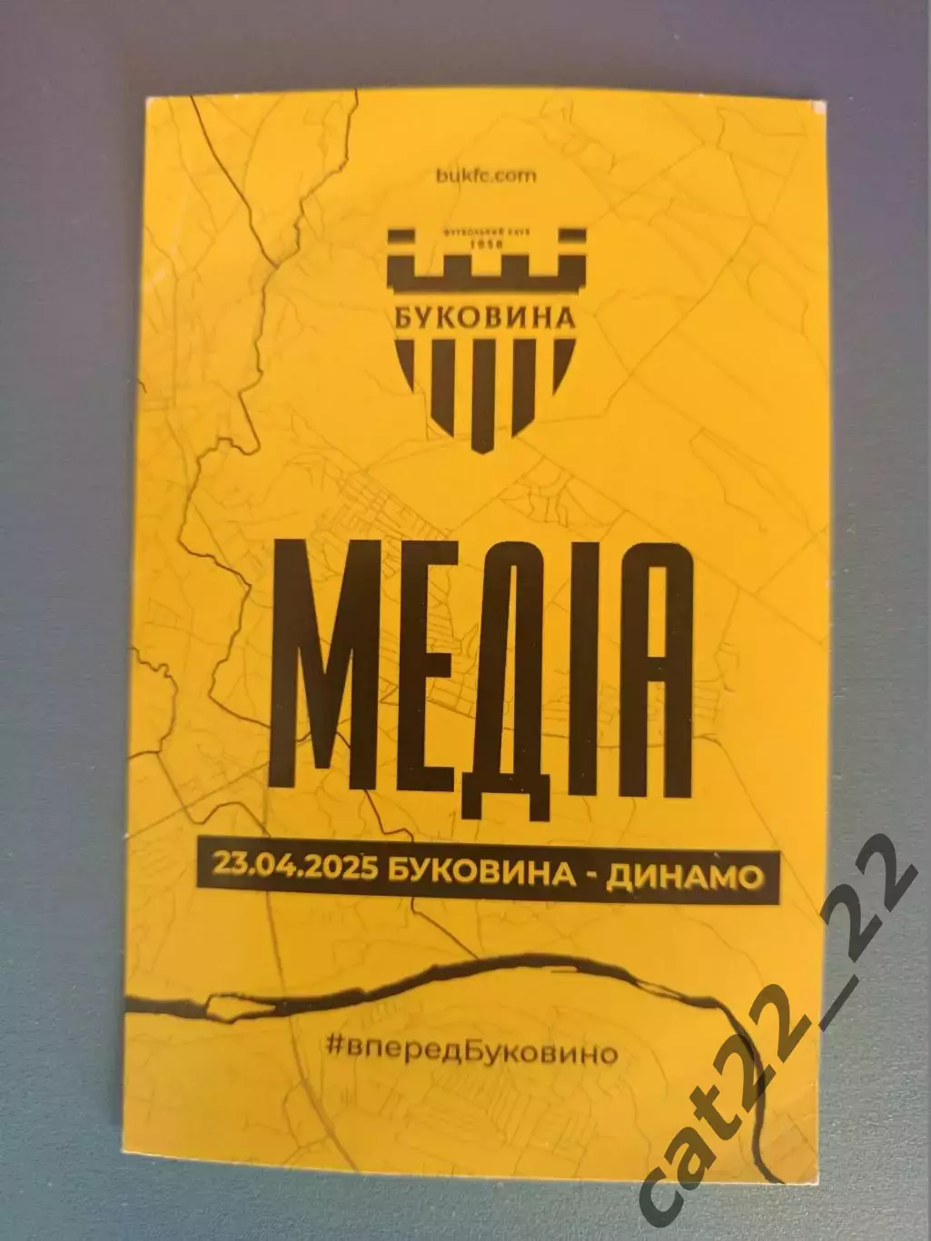 Буковина Черновцы - Динамо Киев 2024/2025
