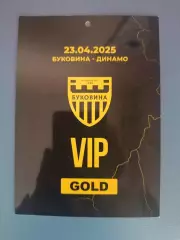 Буковина Черновцы - Динамо Киев 2024/2025