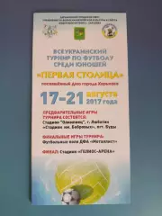 Турнир 2017. Динамо Киев,Запорожье,Полтава,Львов,Харьков,Одесса,Донецк,Днепр