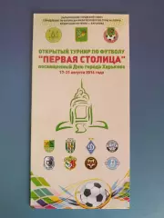 Турнир 2016.Динамо Киев, Сумы, Запорожье, Днепр, Харьков, Одесса, Львов, Полтава