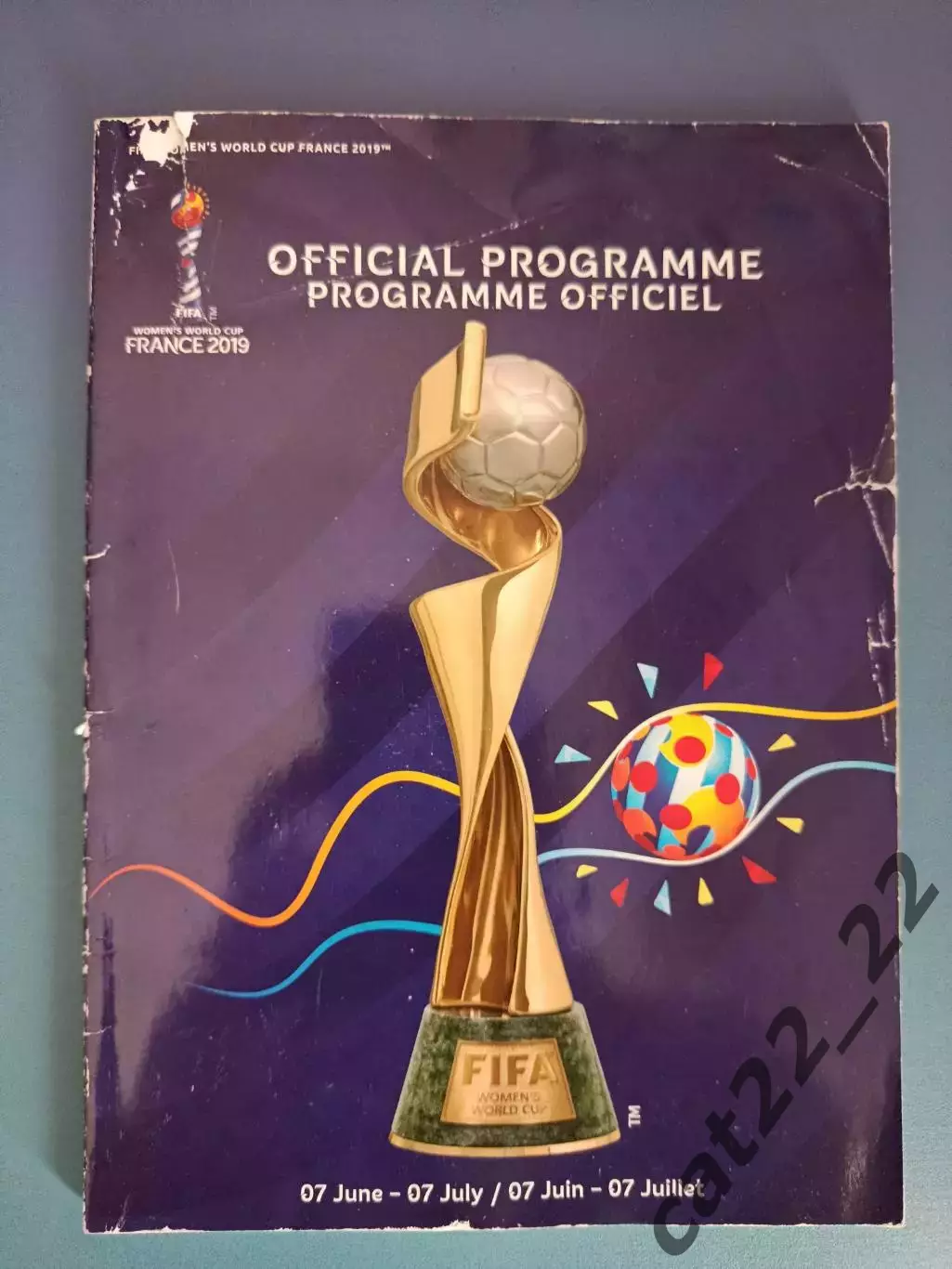 Турнир 2019. Чемпионат мира 2019