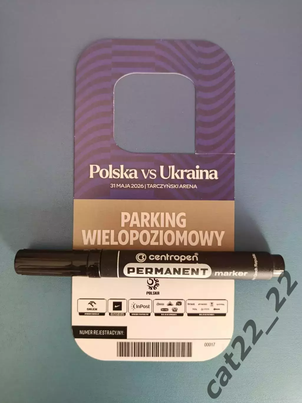 VIP! Польша - Украина 31.05.2026