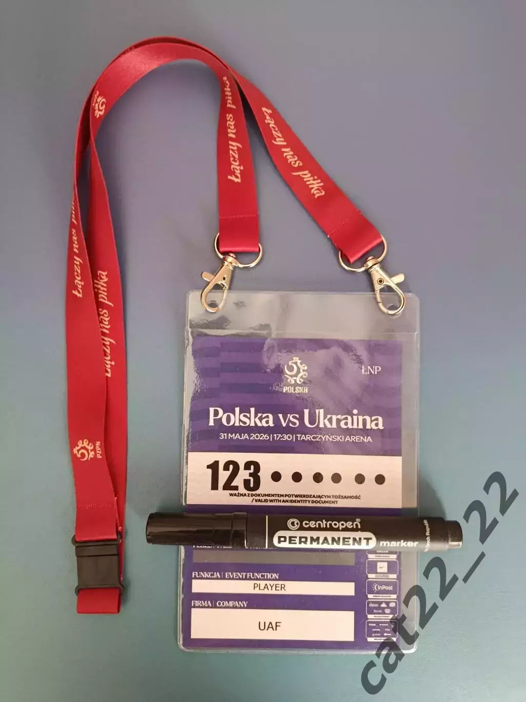 VIP! Польша - Украина 31.05.2026