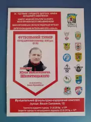 Турнир 2015. Ивано-Франковск,Львов,Николаев,Стрый,Долина,Хмельницкий,Черновцы