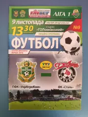 УкрАгроКом Головковка - Сталь Алчевск 2013/2014