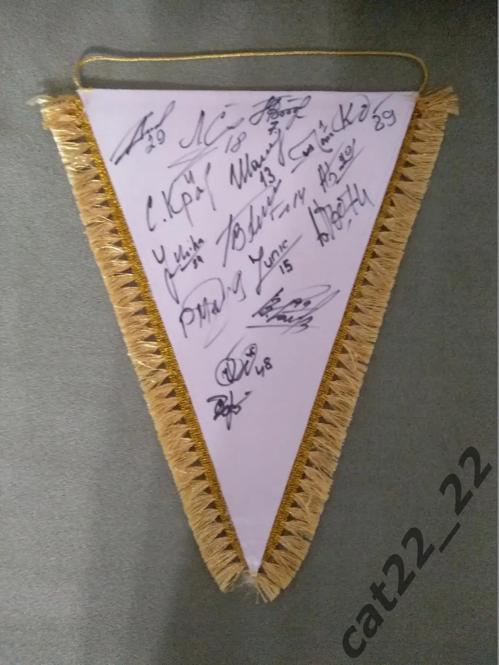 Автографы. Матчевый капитанский вымпел Заря Луганск - Волынь Луцк 2015/2016 1