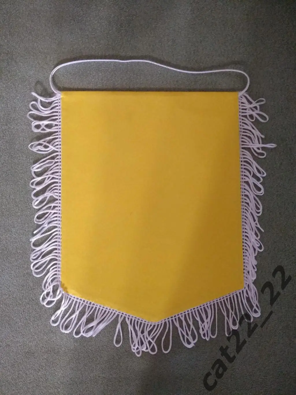 Матчевый капитанский вымпел Днепр Днепр - Александрия Александрия 2015/2016 1