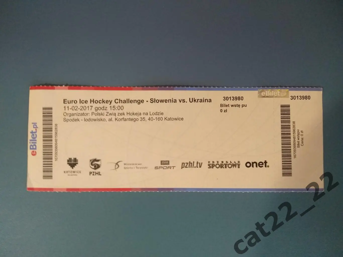 Хоккей. Словения - Украина 11.02.2017