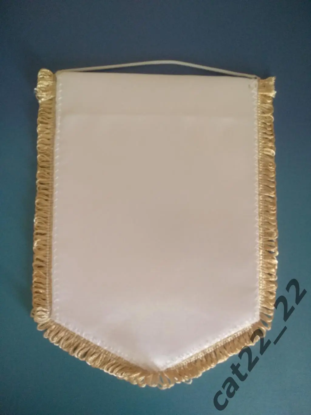 Матчевый вымпел Украина - Литва 2010 1