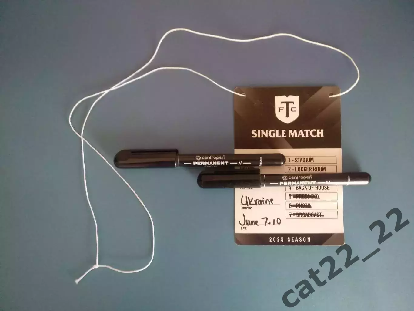 Читайте описание! Канада-Украина 07.06.2025, Новая Зеландия-Украина 10.06.2025