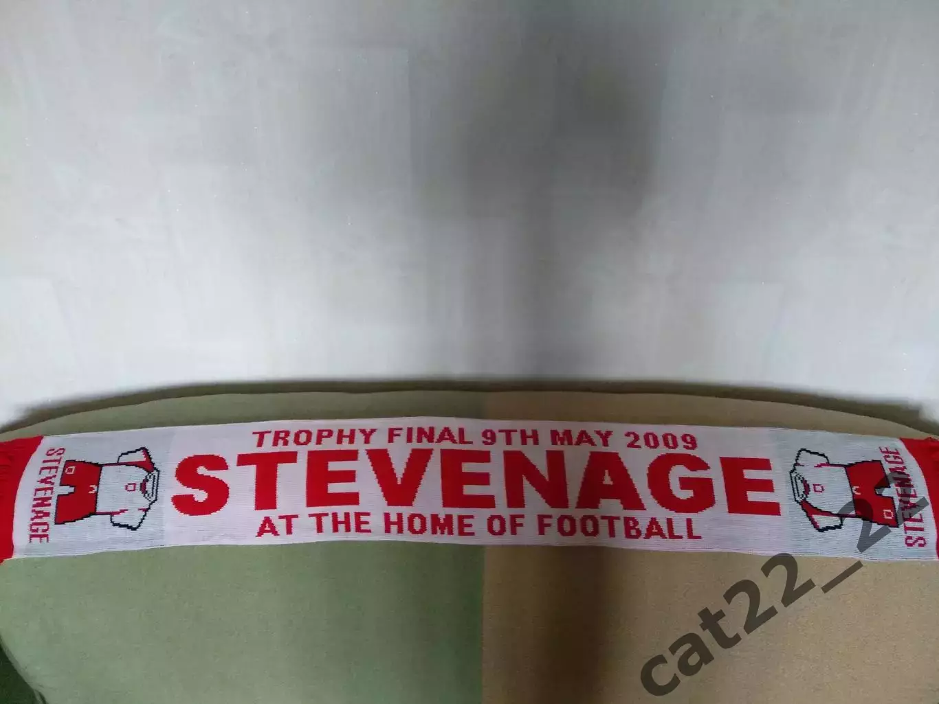 Лот № 109. Шарф. Стивенидж Англия 2009