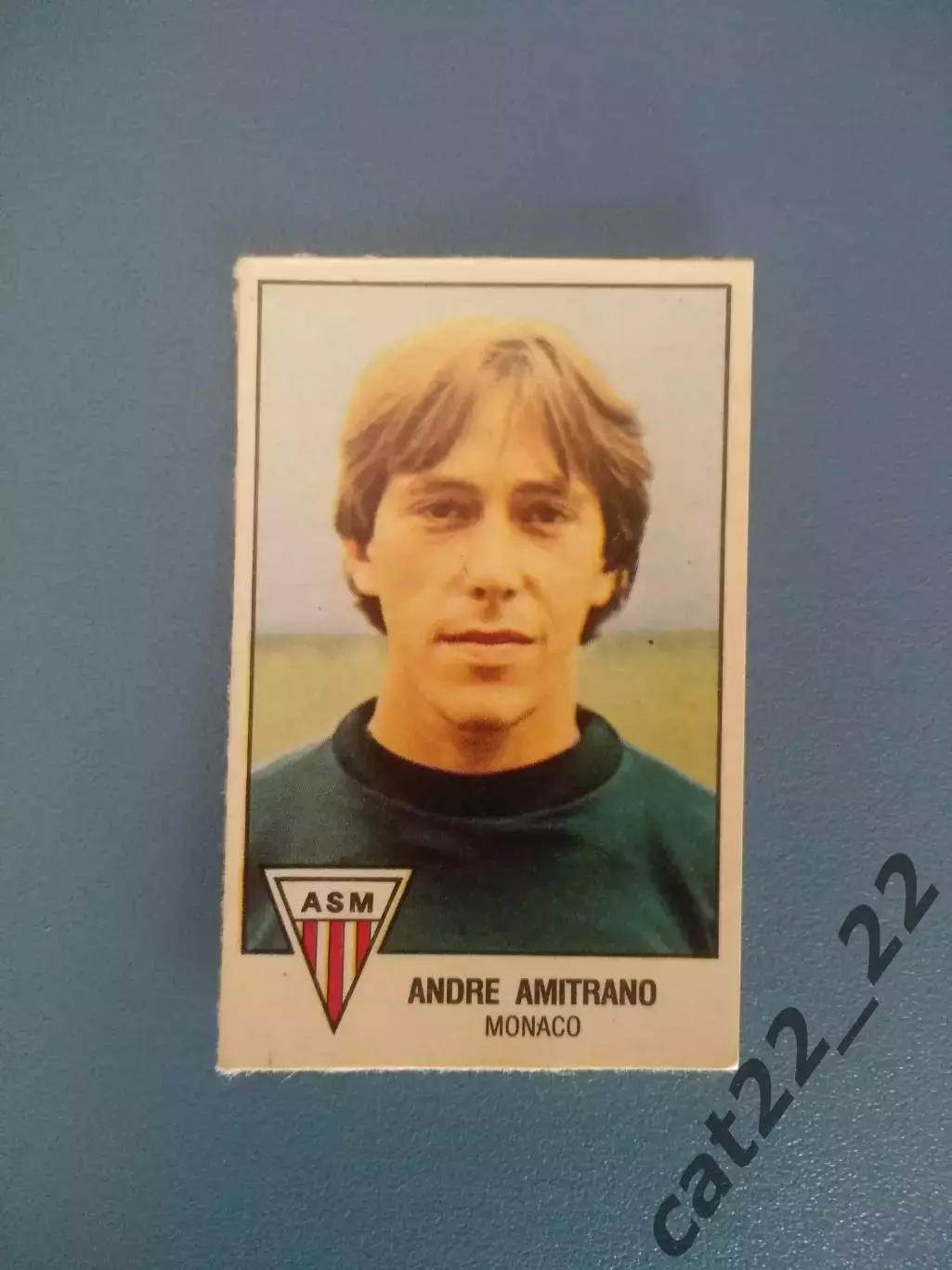 Наклейка. Панини/Panini. Чемпионат Франции. Франция 1979. № 141 - ?! № 173