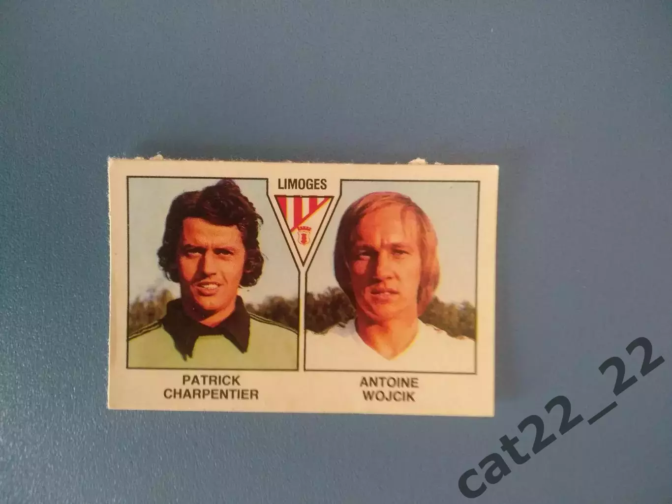 Наклейка. Панини/Panini. Чемпионат Франции. Франция 1979. № 501