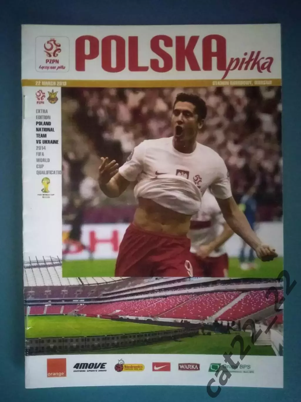 Польша - Украина 2013