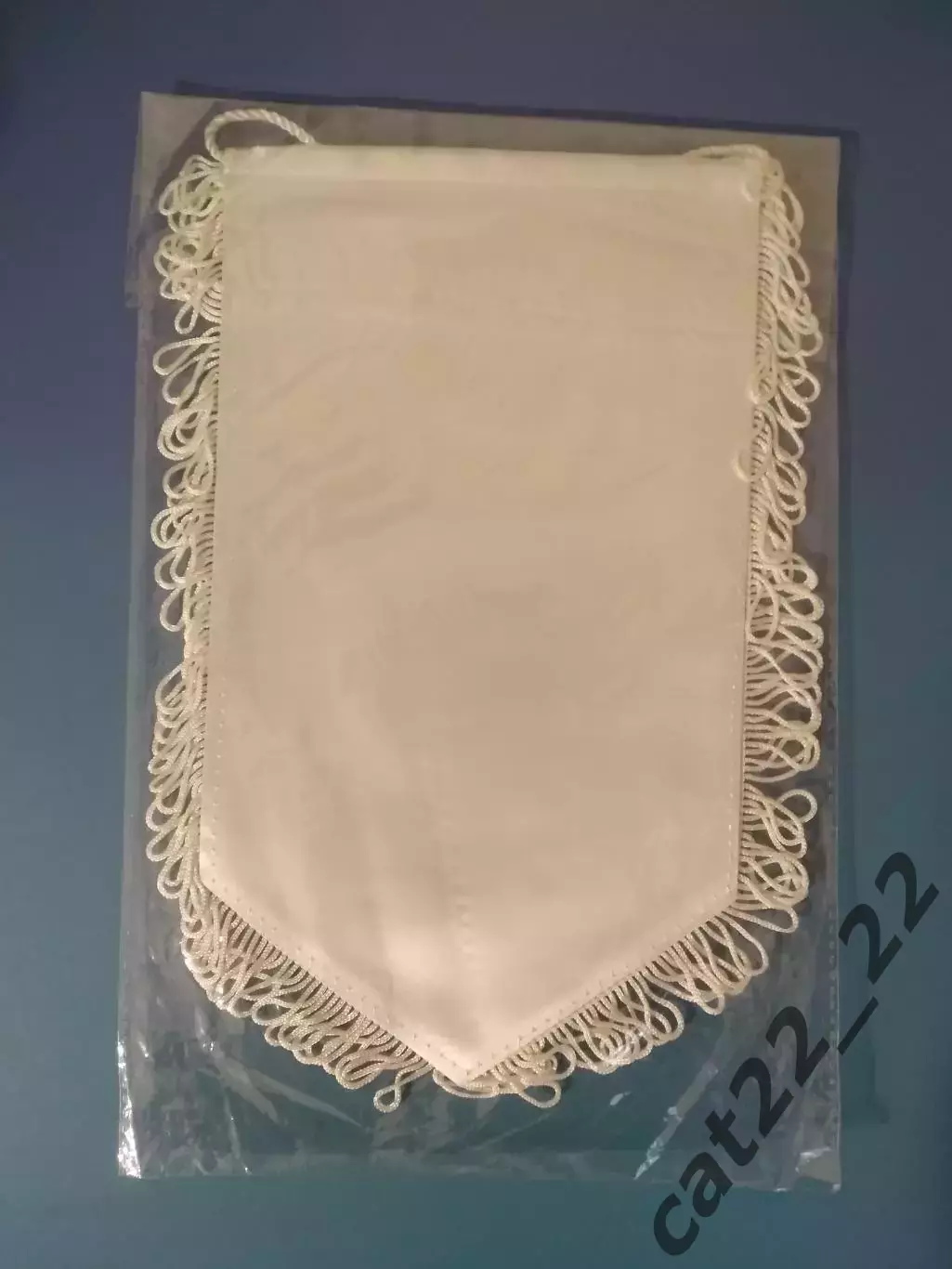 Официальный вымпел для предматчевых мероприятий. Брейдаблик - Заря Луганск 2023 1